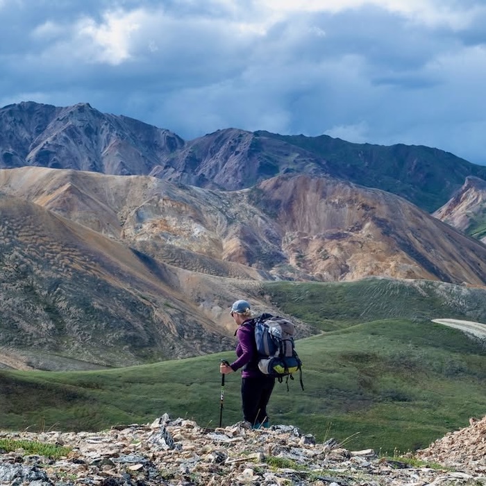Denali National Park and Preserve