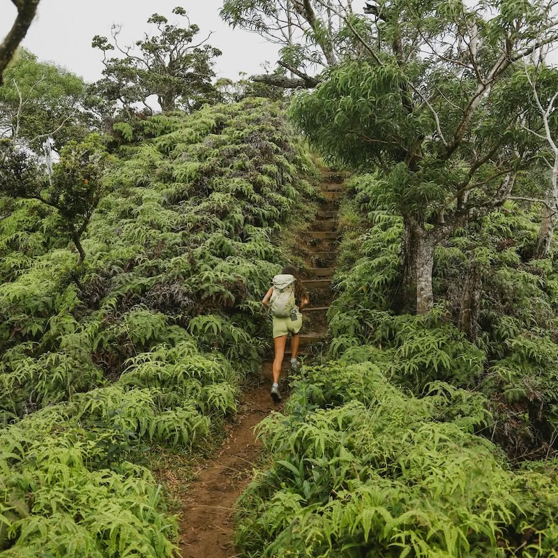 Kuli'ou'ou Ridge Trail 236