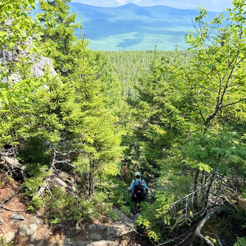 Appalachian National Scenic Trail