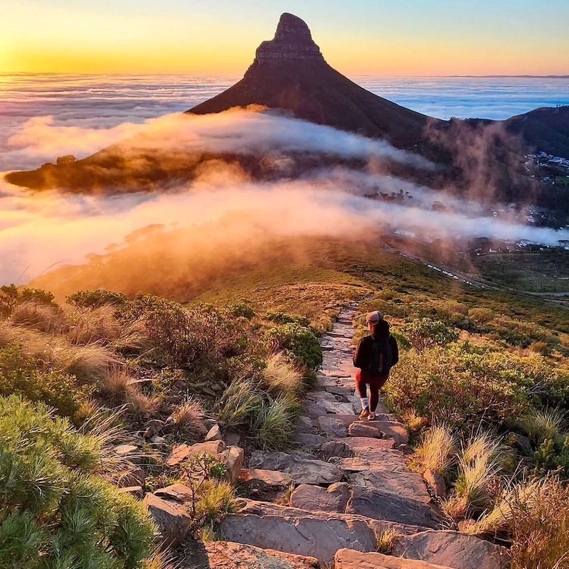 Table Mountain National Park 255