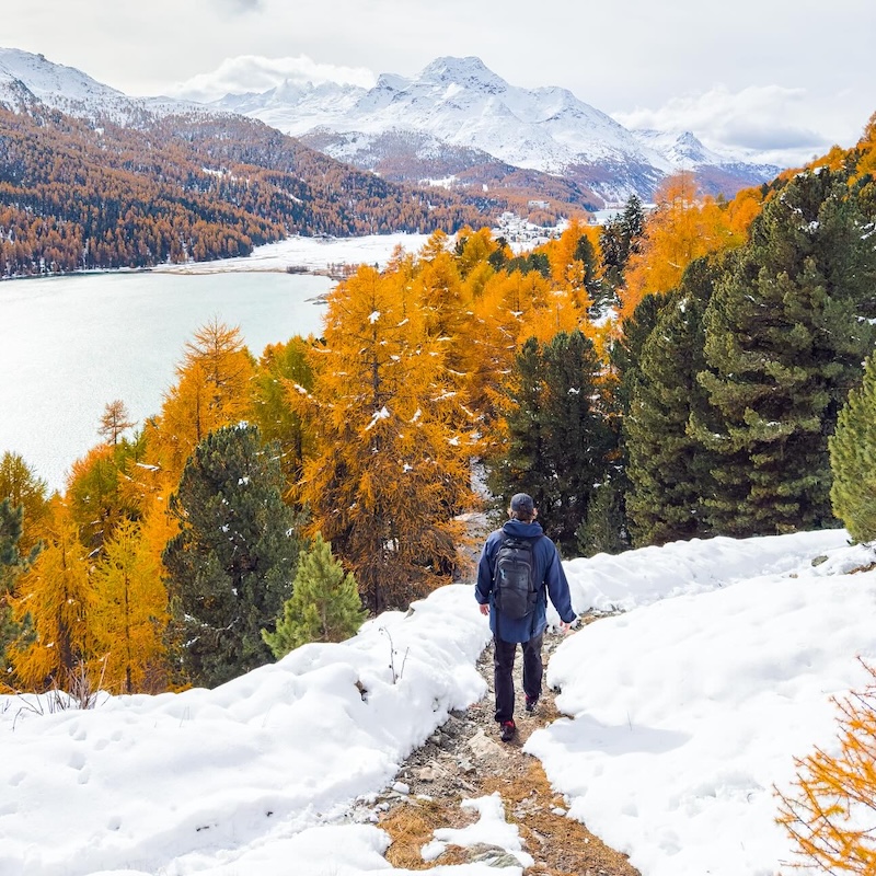 Swiss National Park 256